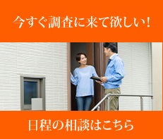 日程の相談はこちら