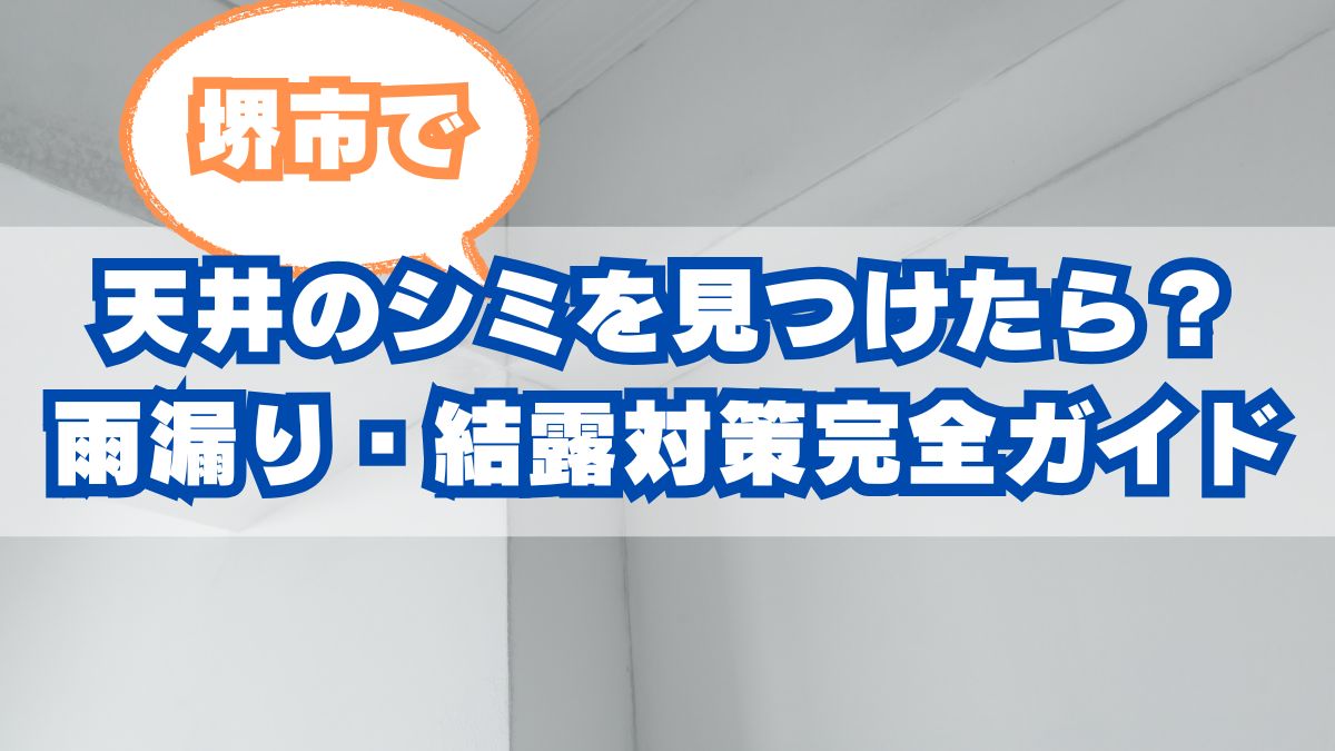 【堺市版】雨漏り・結露対策の完全ガイド：天井の染みを見つけたら？修理費用と火災保険の賢い活用法